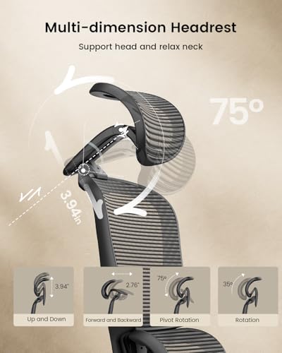 Ergonomic High Back Mesh Office Chair Adjustable Lumbar Sliding Seat 3D Headrest Wide Armrests Reclining