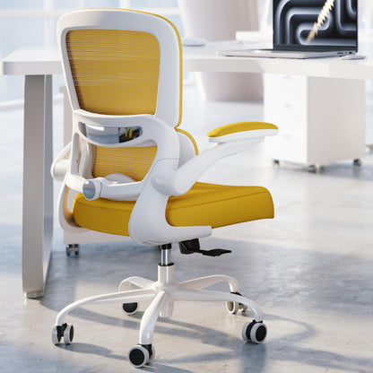 Ergonomic Mesh Office Chair Adjustable Lumbar Support Executive Desk Chair