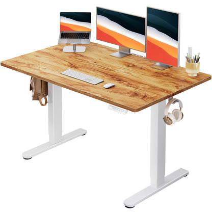 Electric Standing Desk Adjustable Height Sit Stand Desk with Memory Settings Home Office Desk